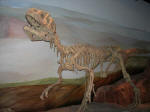 Dinosaur Museum at Trelew